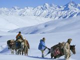Silk Road Threads Through History