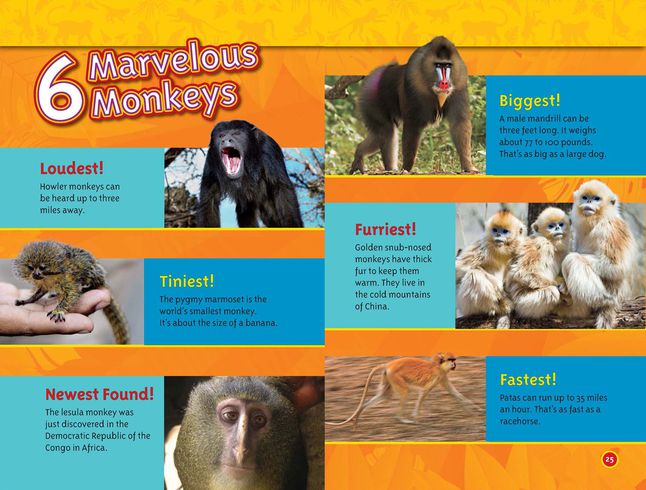 Monkey Facts | National Geographic Society