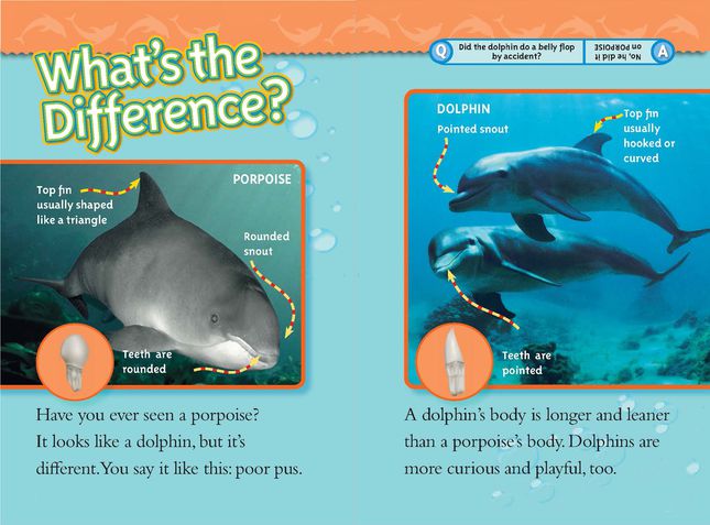 xscope vs dolphin
