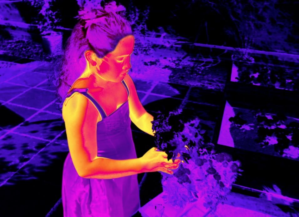 Image result for infrared vision