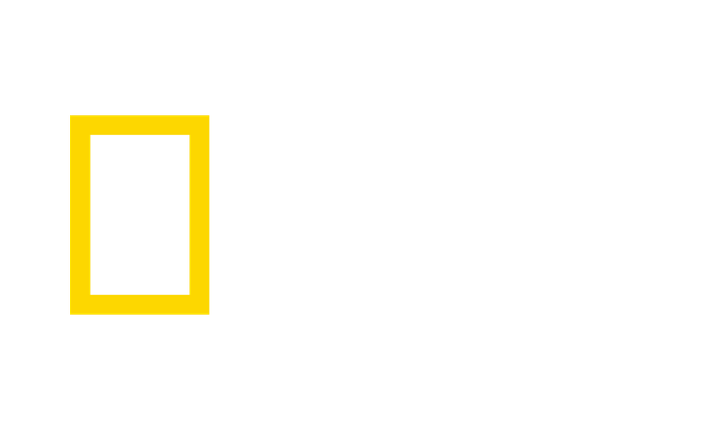 How to Watch National Geographic Channel Without Cable TV  Cord Cutters  News