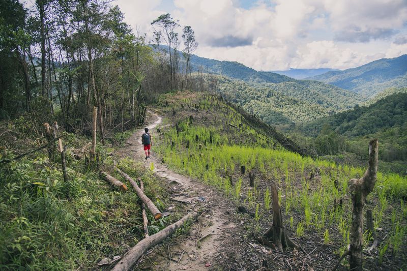 Human Impacts On The Environment National Geographic Society