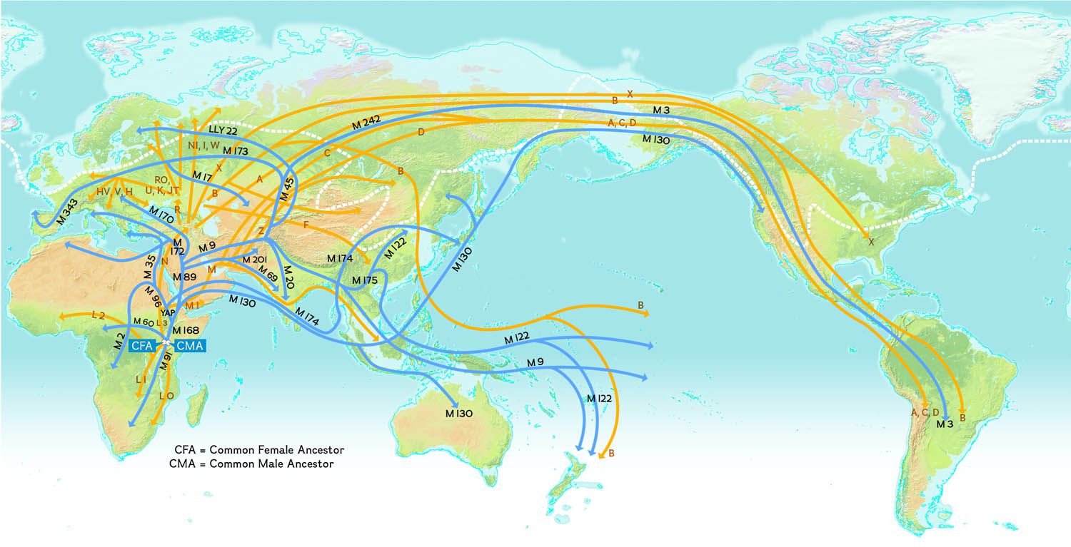 world map of y dna haplogroups Human Migration National Geographic Society world map of y dna haplogroups