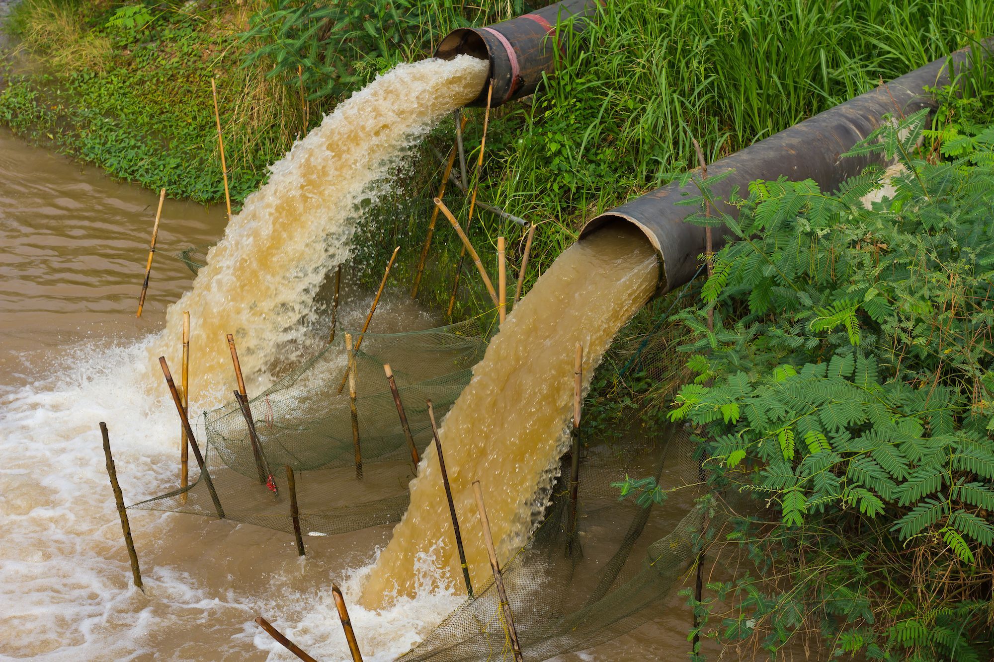 Point Source And Nonpoint Sources Of Pollution National Geographic Society