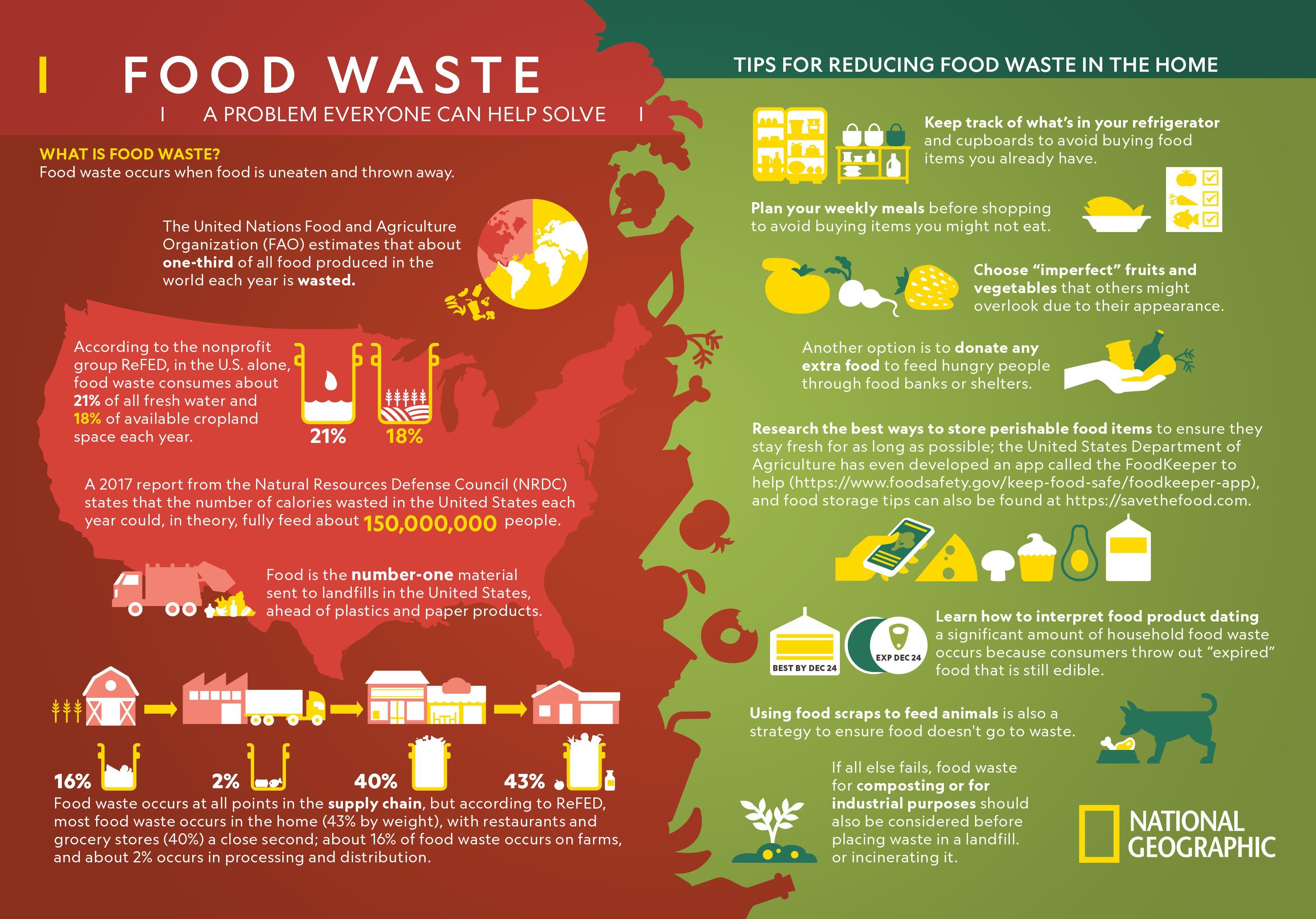 food waste presentation