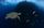 Cocos Island