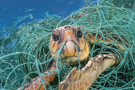 Plastic: Sea to Source | National Geographic Society