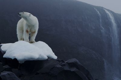 Franz Josef Land
