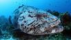 seychelles expedition 5