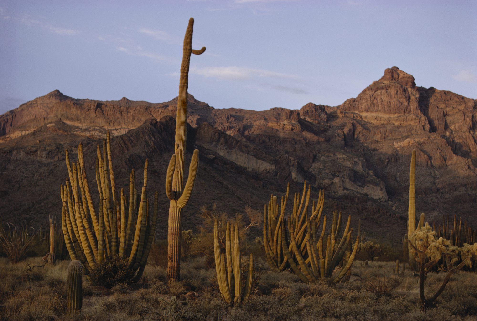 desert-biome-national-geographic-society