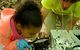 Video: Do-It-Yourself Bioblitz