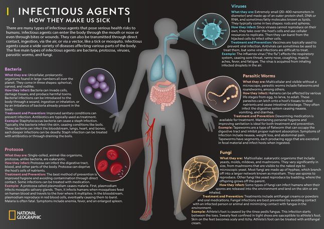 what are the classification of infectious agents
