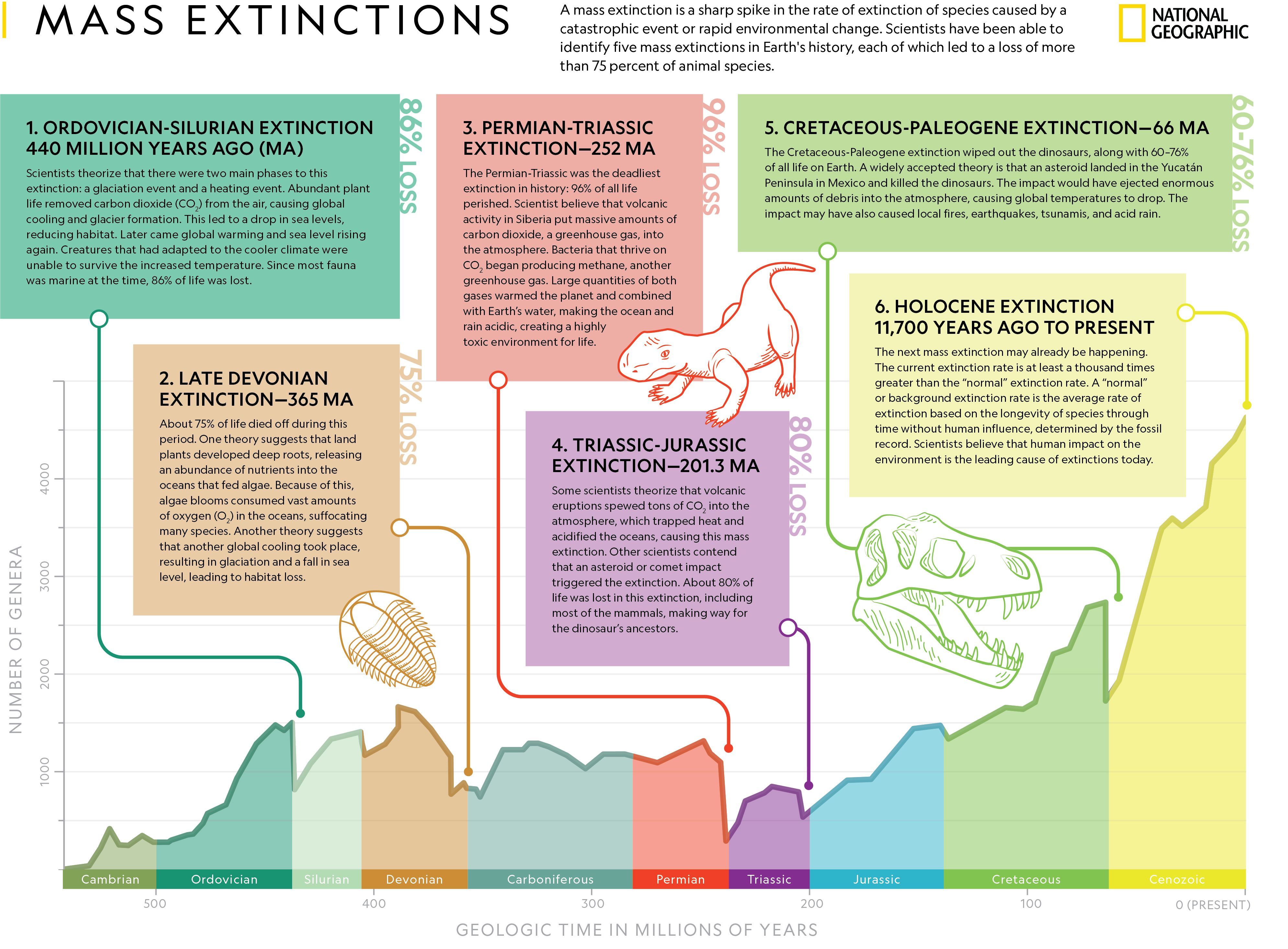 Mass Extinctions | National Geographic Society