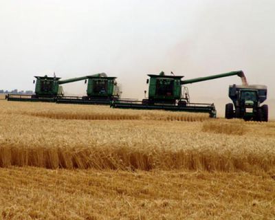 Can We Feed the Growing Population?