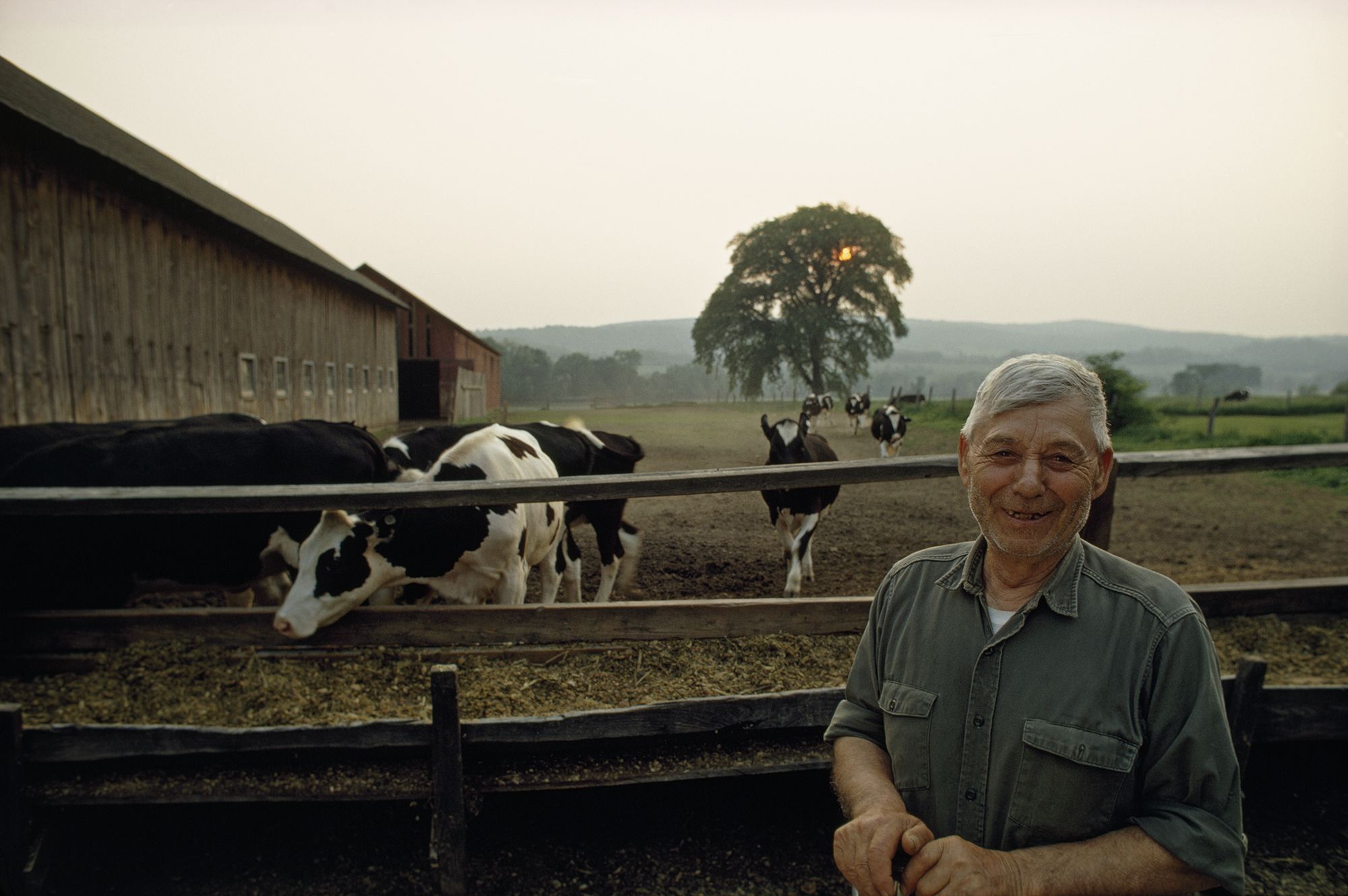 The Development of Agriculture | National Geographic Society