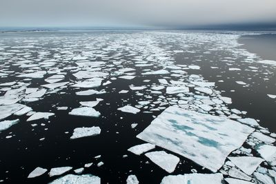 The Last Ice Area