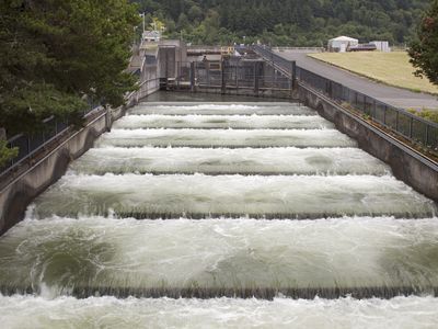 Dams on rivers prevent fish from migrating upstream to lay their eggs. Some dams hope to mitigate this by using fish ladders or other infrastructure.