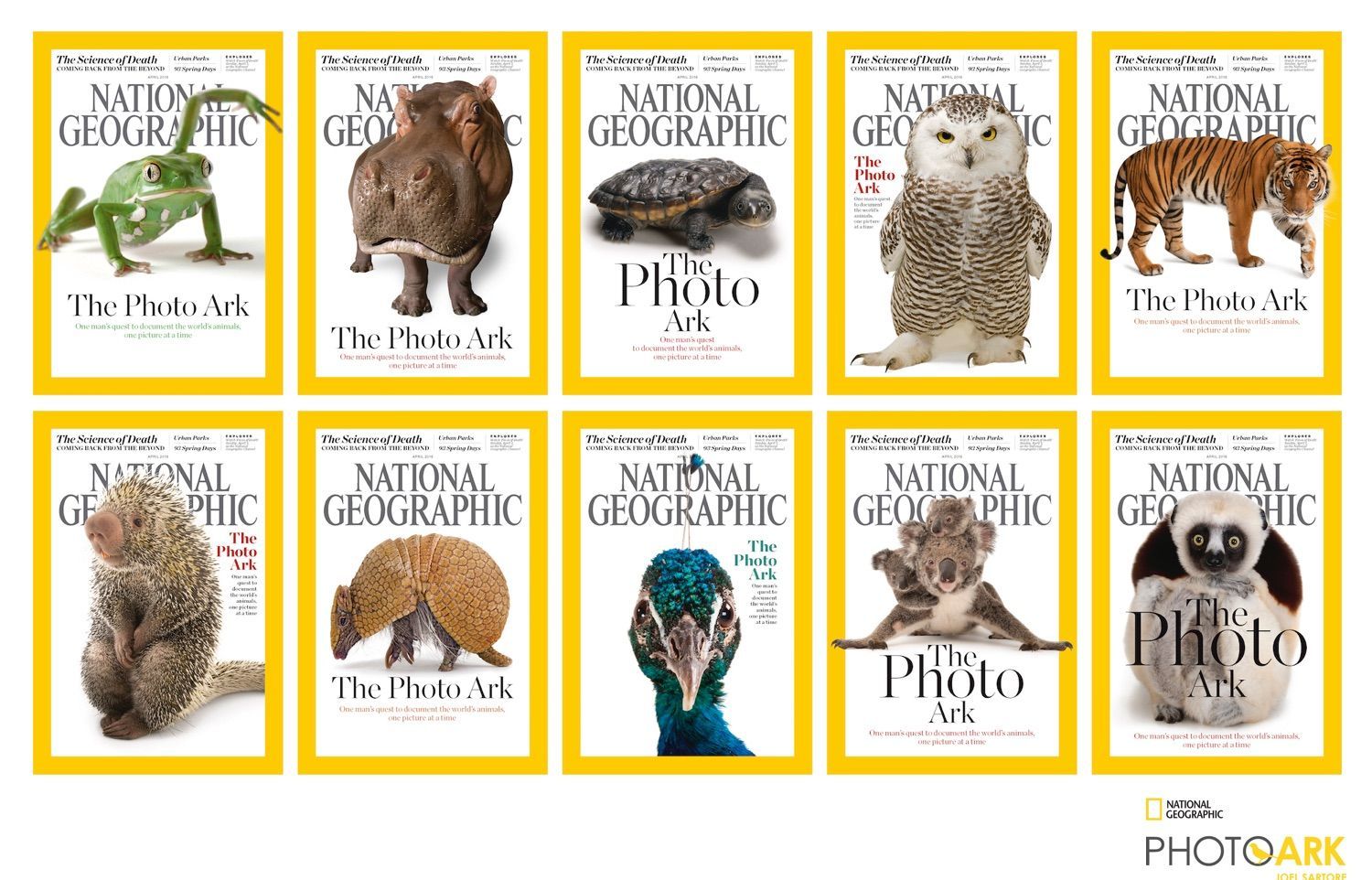 Endangered Species and Their Biomes National Geographic Society