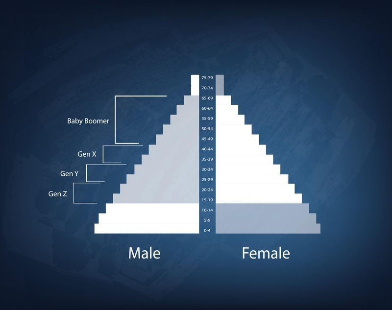 Zero Size Girl Sex Video - Population Pyramid | National Geographic Society