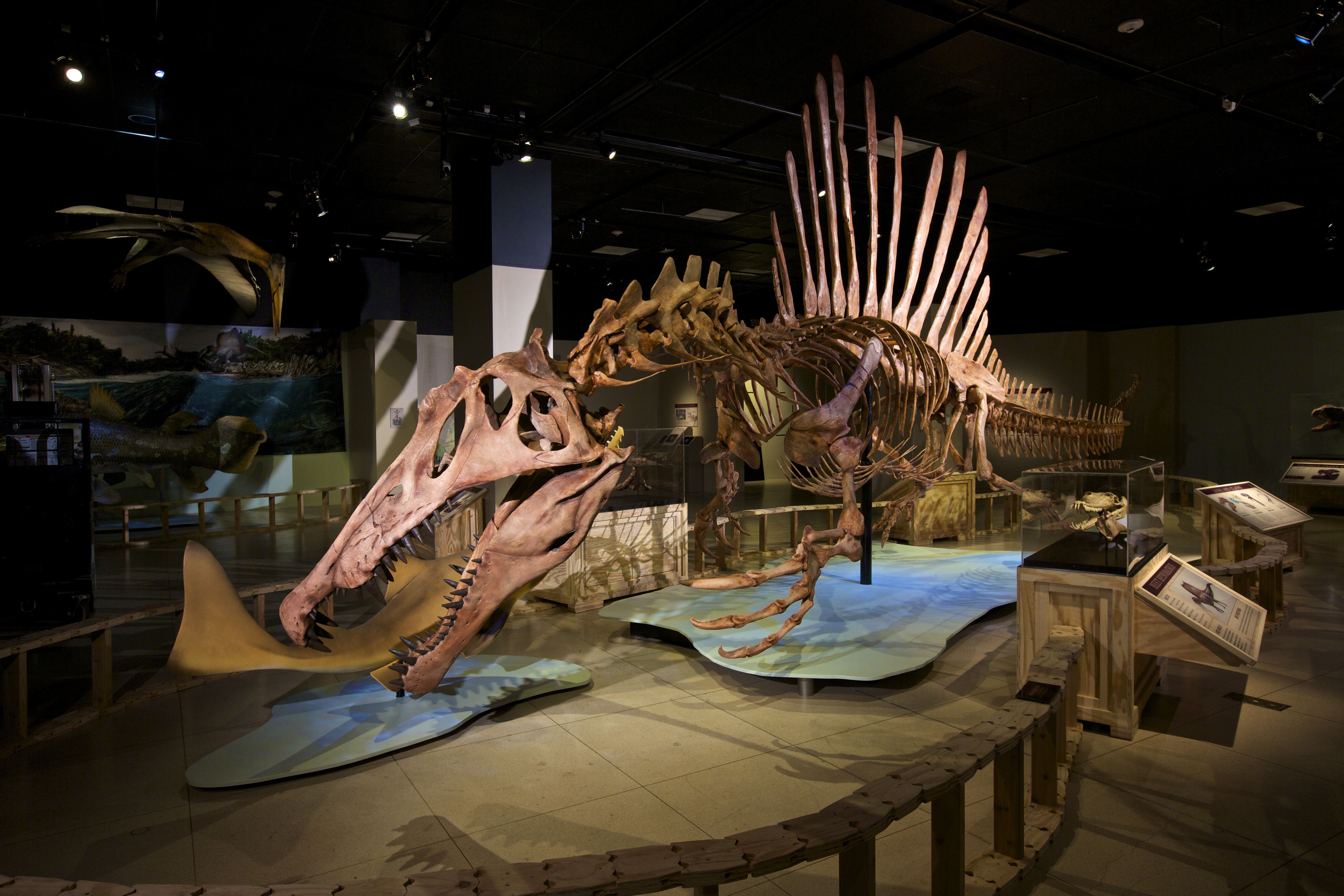 spinosaurus nat geo