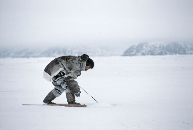 Inuit Hunter