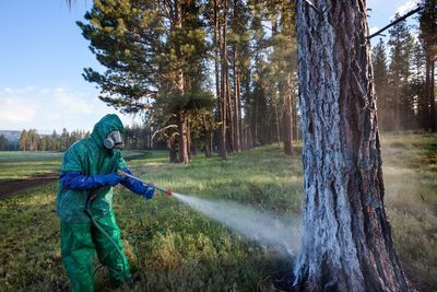 Teaching Idea: Human Impacts on the Environment