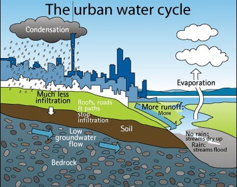 cycle urban