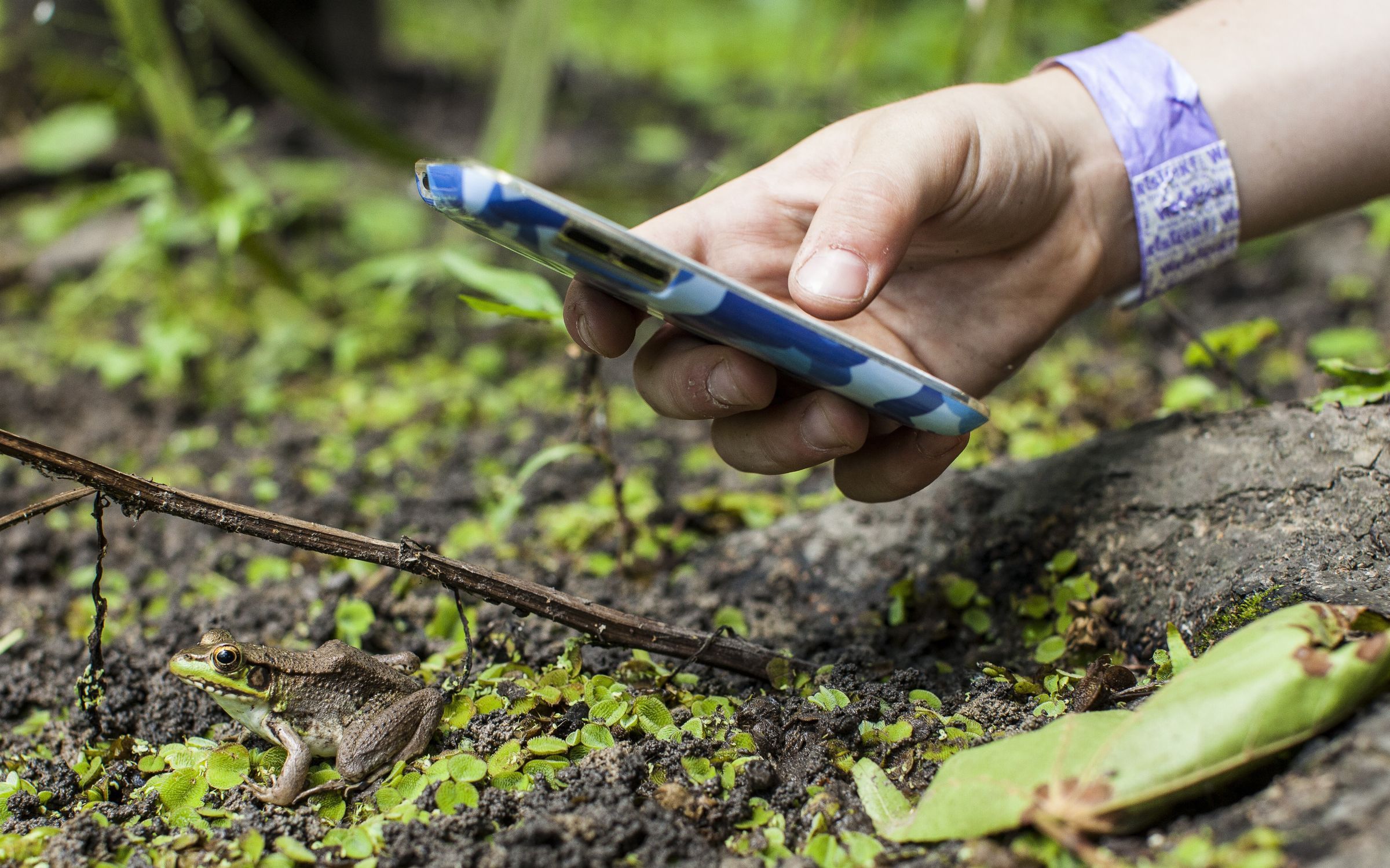 BioBlitz Program | National Geographic Society