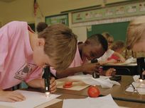 A photograph of students studying seeds in a classroom using handheld magnifying devices.
