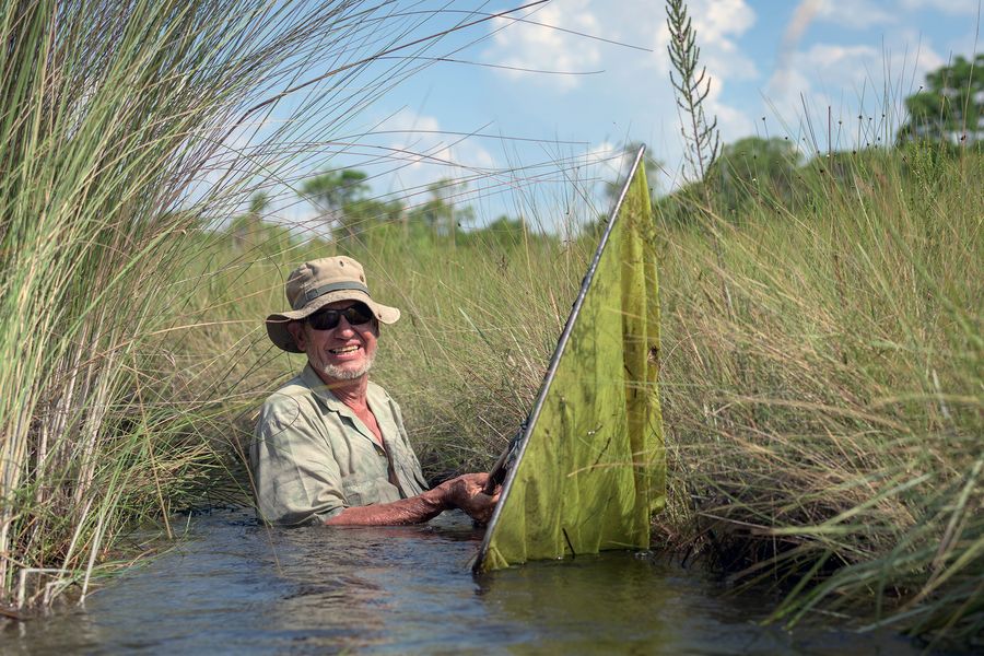 Picture of ichthyologist Paul Skelton with fish net, Source Lakes Science expedition, 2016 Picture of ichthyologist Paul Skelton with fish net, Source Lakes Science expedition, 2016