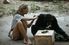 Jane Goodall grooms a chimpanzee while he eats a banana in Gombe Stream National Park, Tanzania.