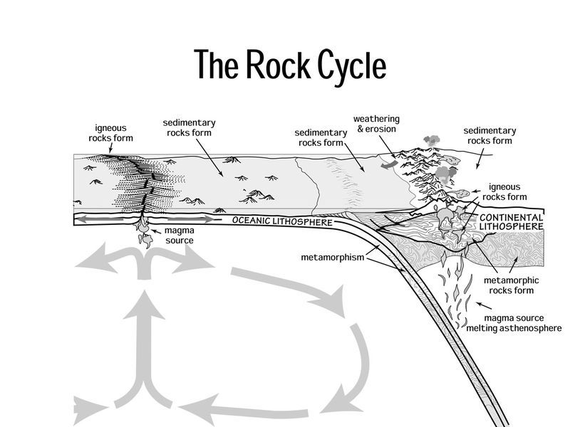 Rock Cycle Flow Chart Worksheet