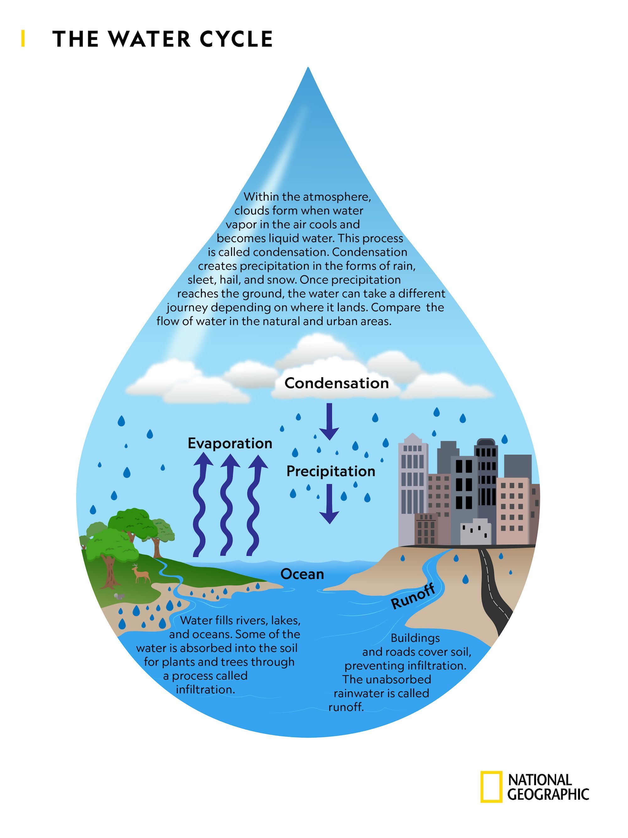 Investigating The Water Cycle National Geographic Society