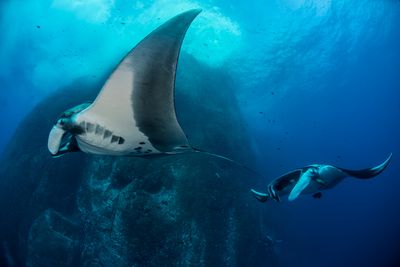 Revillagigedo Islands