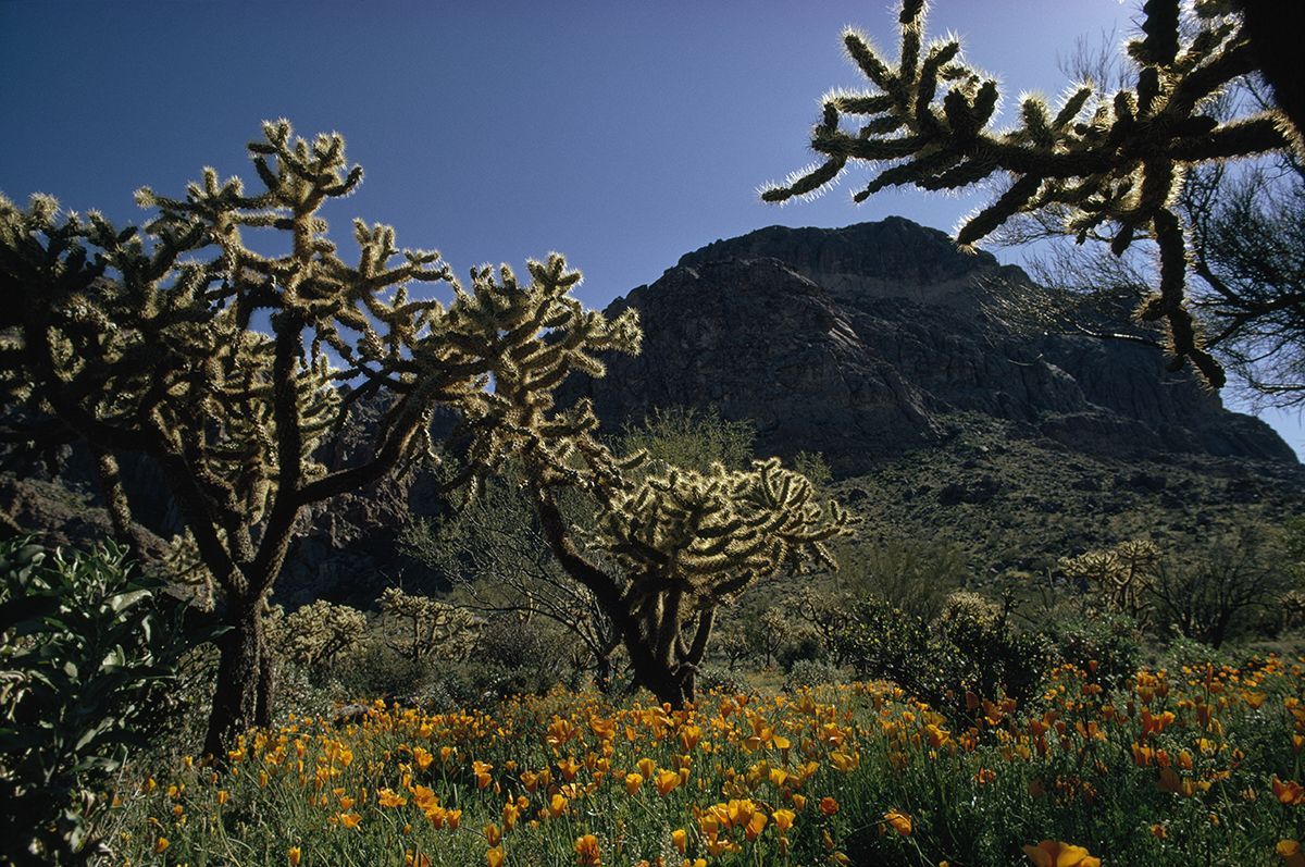 All About Climate National Geographic Society