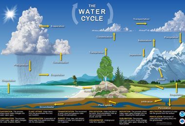 The Very Hungry Caterpillar and Its Life Cycle | National Geographic ...