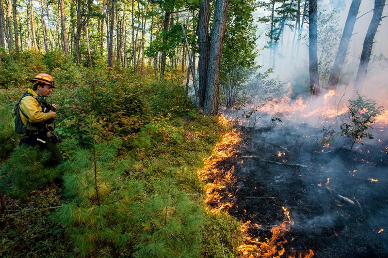 Human Impacts On The Environment National Geographic Society