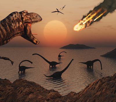 Two scientific theories prevail as to what caused the extinction of the dinosaurs. One, an asteroid hit Earth stirring up a cloud of dust large enough to change the climate, and two, a massive volcanic eruption spewed enough carbon dioxide to alter the climate.