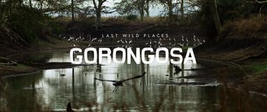 Last Wild Places: Gorongosa
