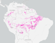 MapMaker: Amazonian Tree Cover Loss