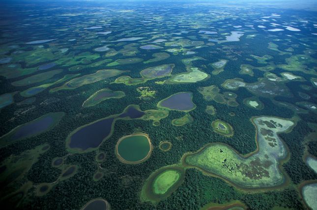 Biodiversity Pantanal 2691014