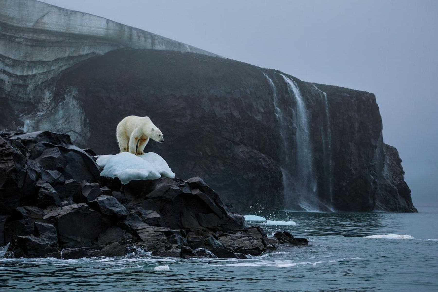 Franz Josef Land | National Geographic Society