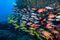A school of colorful fish gather by a rock formation in the Pacific Ocean.