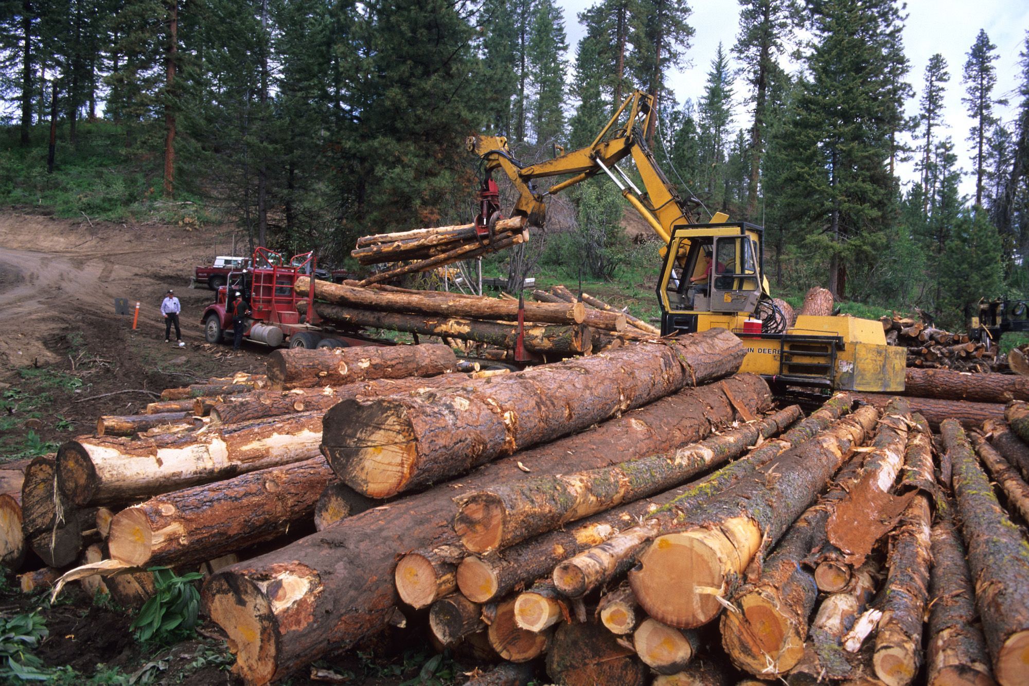 Timber Resources | National Geographic Society