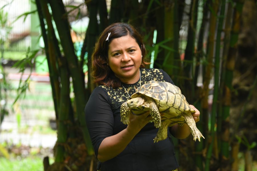 Picture of Kalyar Platt with Burmese Star Tortoise Picture of Kalyar Platt with Burmese Star Tortoise