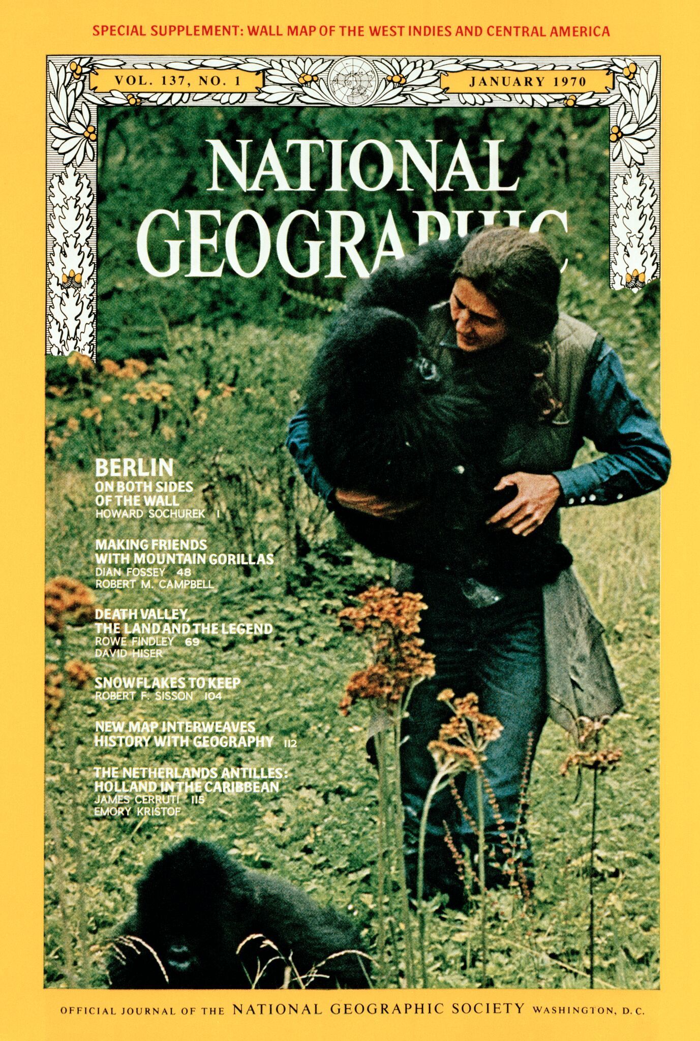 Picture of Dian Fossey on the cover of the January 1970 National Geographic magazine