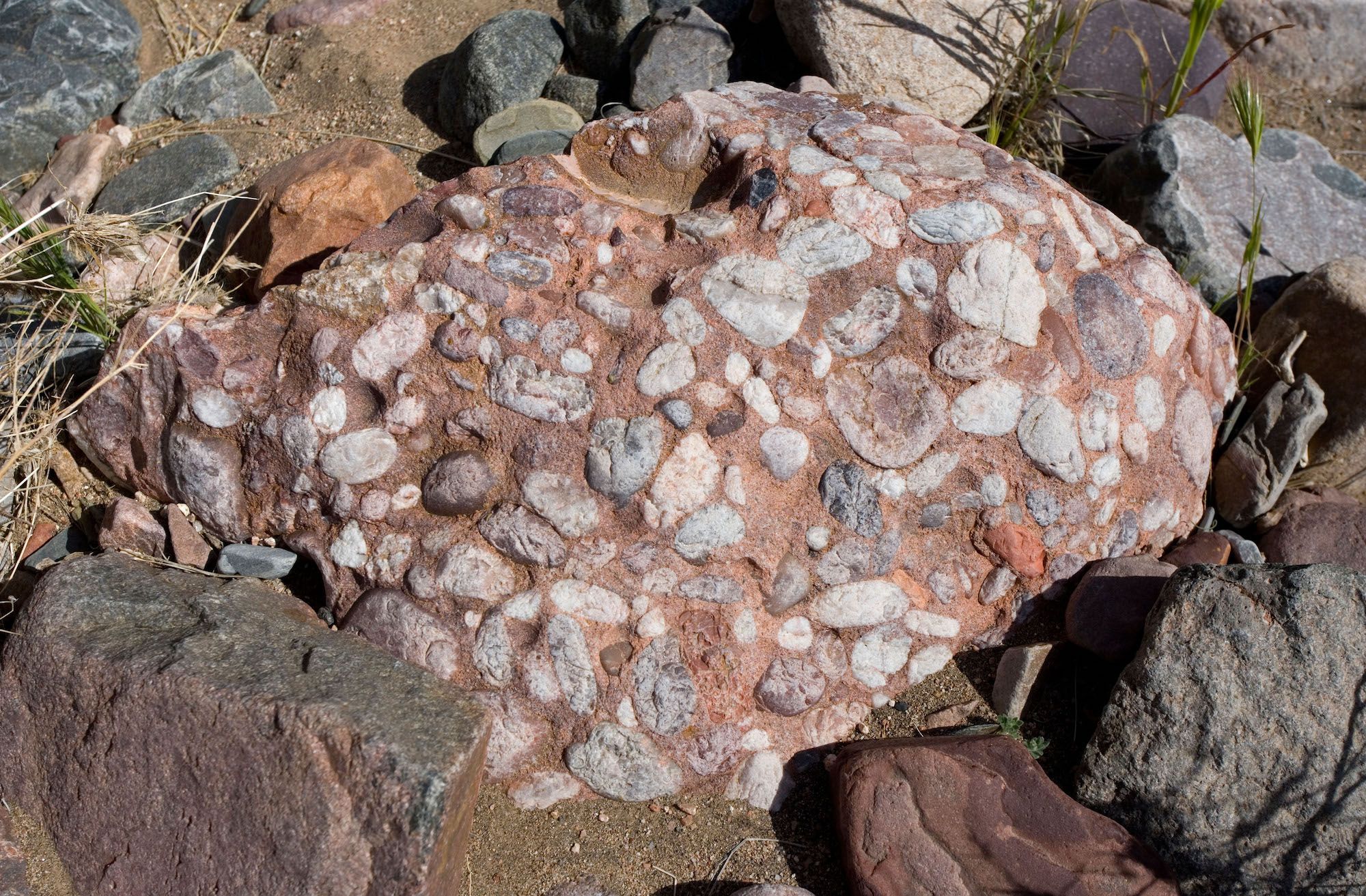 mechanically-formed-sedimentary-rocks-are-those-formed-from