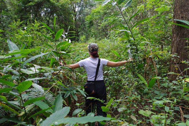 Biodiversity Tanzania 2686602