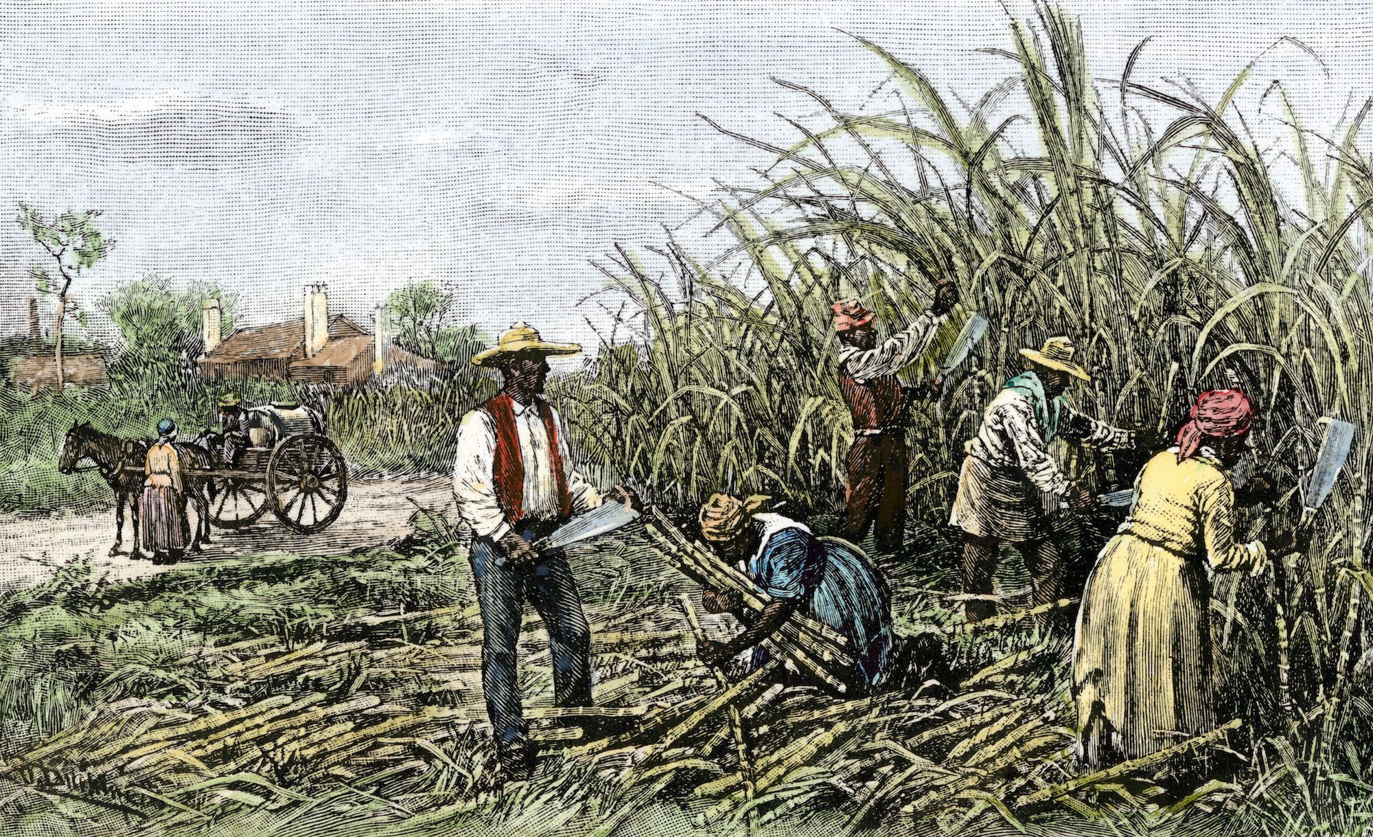 Durante A época Moderna O Sistema De Plantation - ENSINO