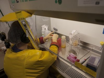 A scientist works in a hood at the Institute of Virology in Marburg, Germany, while wearing a hazmat suit.